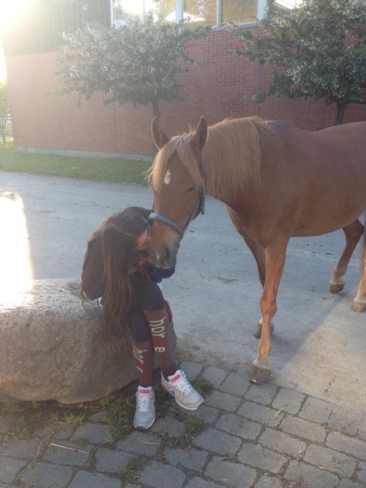 Anden særlig race Isadora billede 10