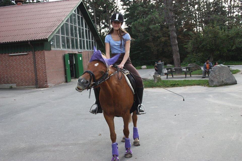 Anden særlig race Isadora billede 13