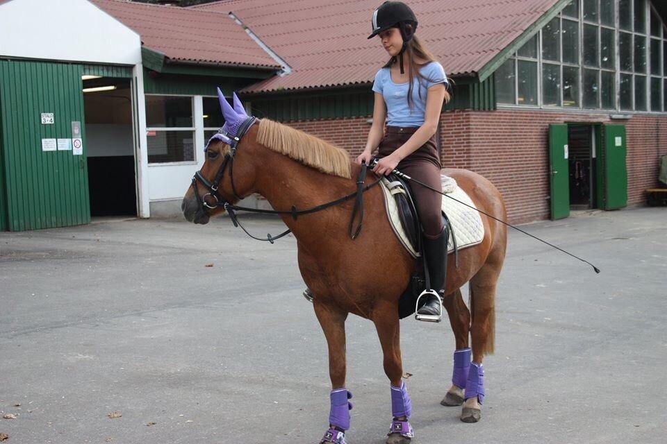 Anden særlig race Isadora billede 14