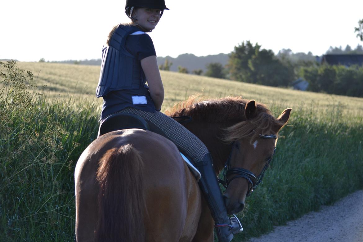 Anden særlig race Eligance billede 20