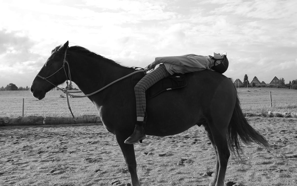 Anden særlig race Vesterleds Tobbi *Toppen af poppen* - Helt cool billede 20