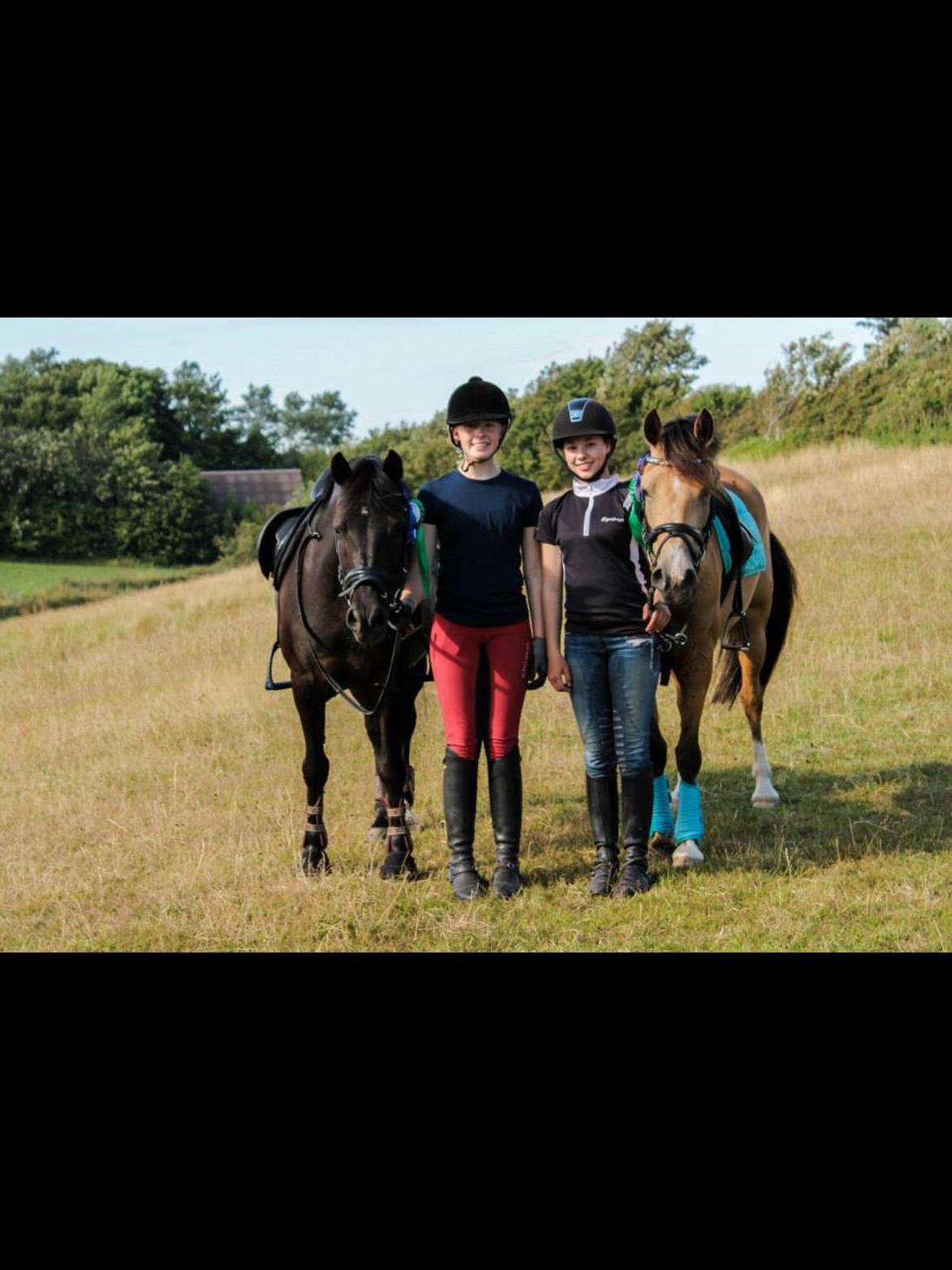 New Forest Lindholms Micky - Micky, Tenna, Julie og Bailey<3 billede 18