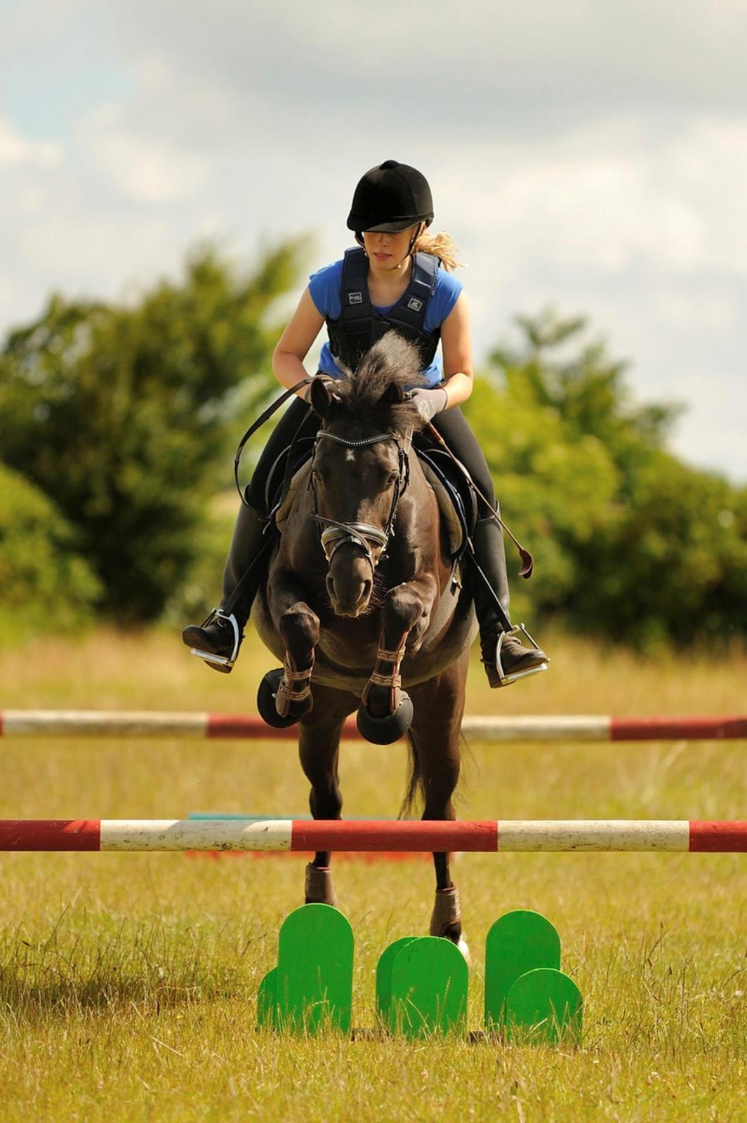 New Forest Lindholms Micky - Lidt hyggespring på ridelejr! <3 billede 8