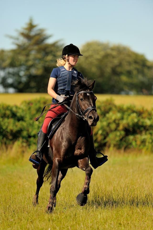 New Forest Lindholms Micky - Lidt hidsig kan man jo blive! :P billede 11