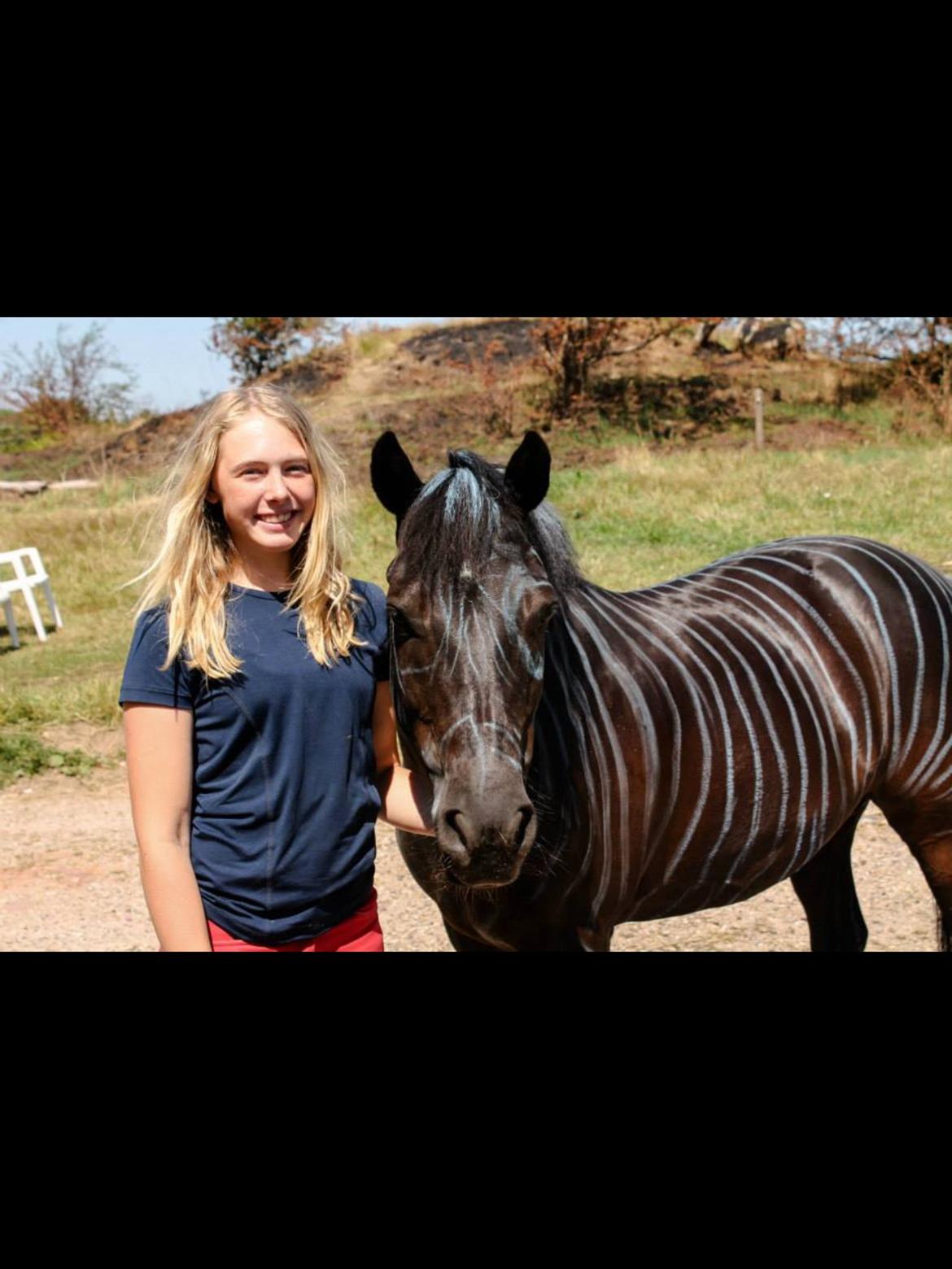 New Forest Lindholms Micky - Min lille zebra! :P billede 5