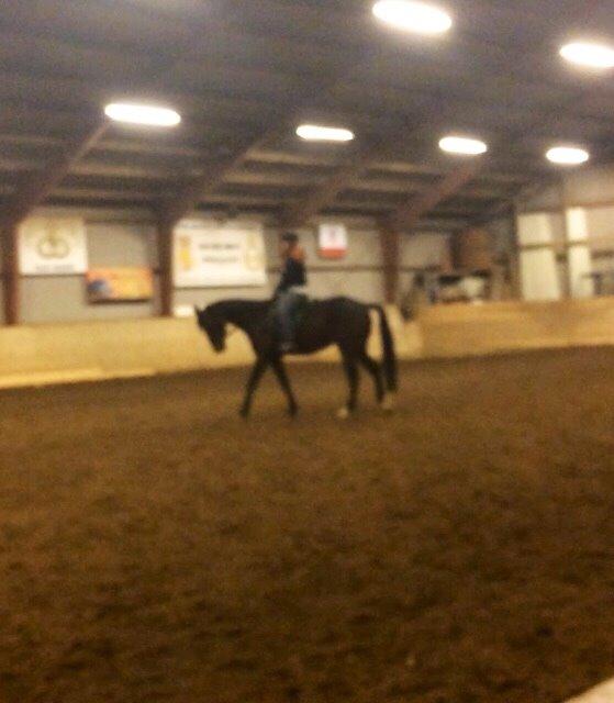 Traver Super Susser billede 6