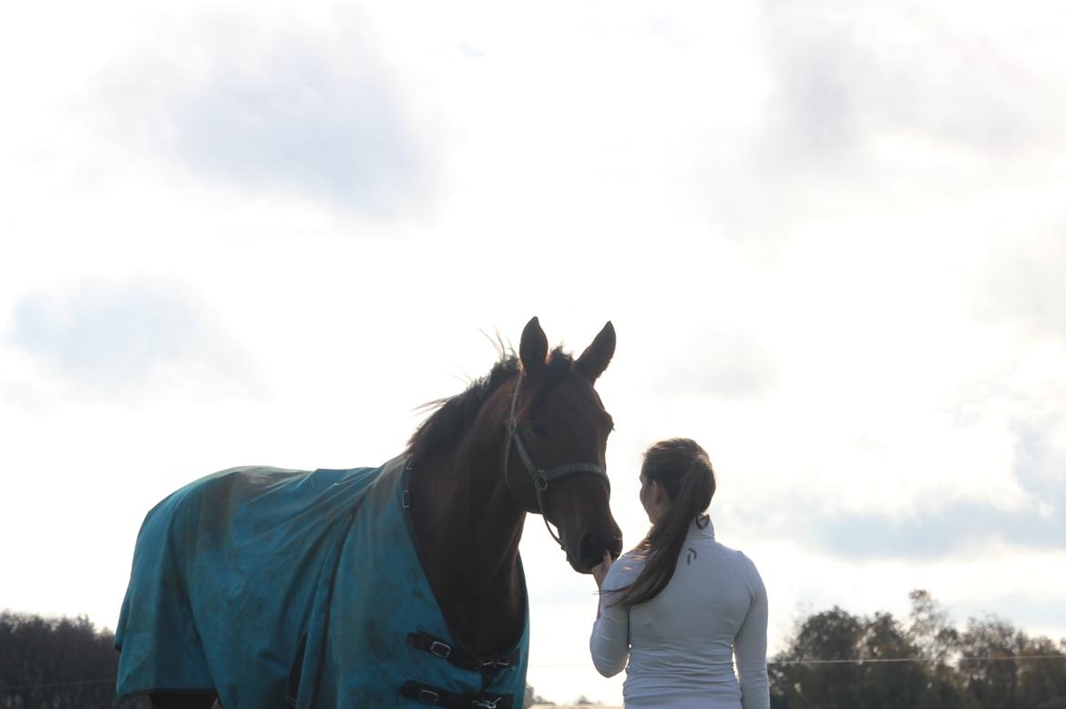 Anden særlig race Imagin Spot Morsbøl(Aflivet) billede 20