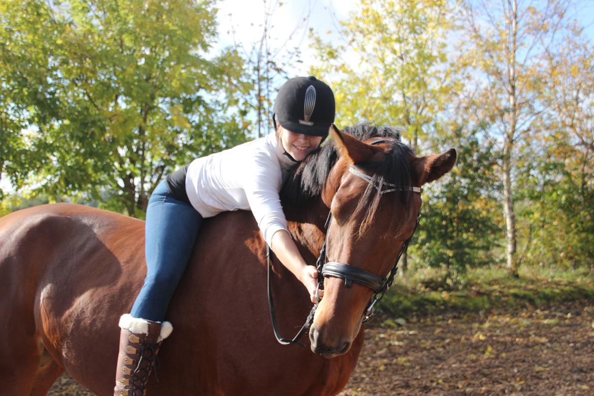 Anden særlig race Imagin Spot Morsbøl(Aflivet) - Tak for alt!  billede 1