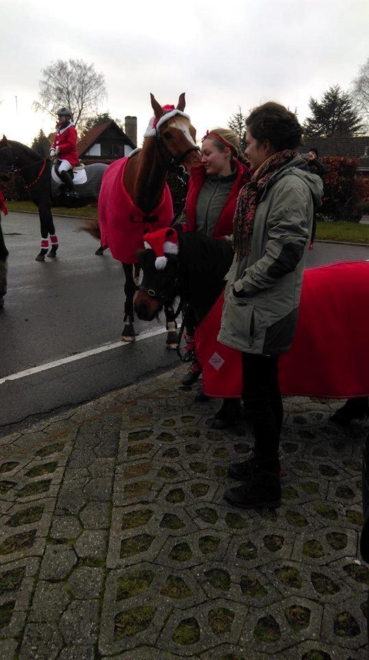 Fuldblod (XX) Maphard - Møffe & Nuller på juletur d. 14/12-14 billede 35