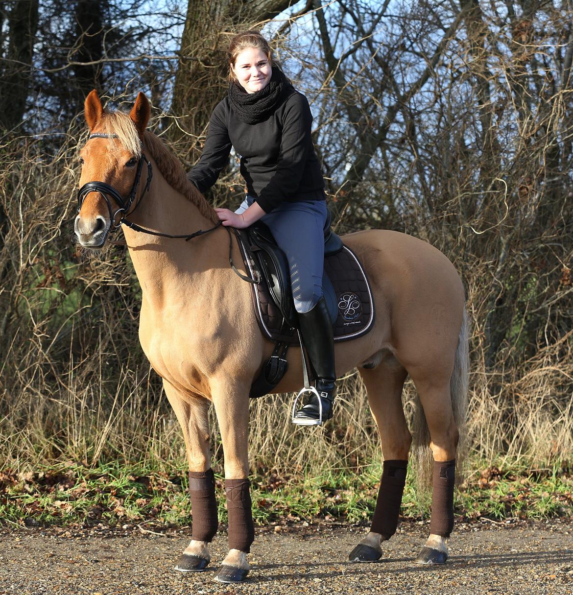 New Forest | Skovlys Günther | B-pony - <333 Foto: Vingtoft-Photo billede 10