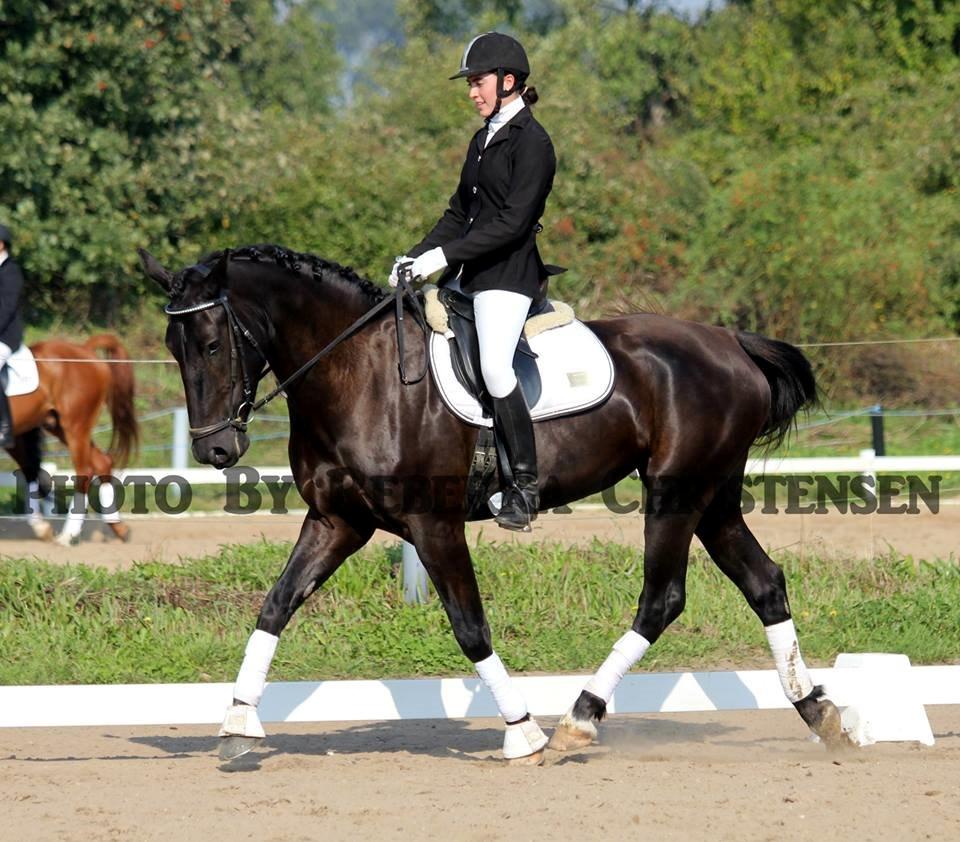 Oldenborg Minde af Kassø billede 12