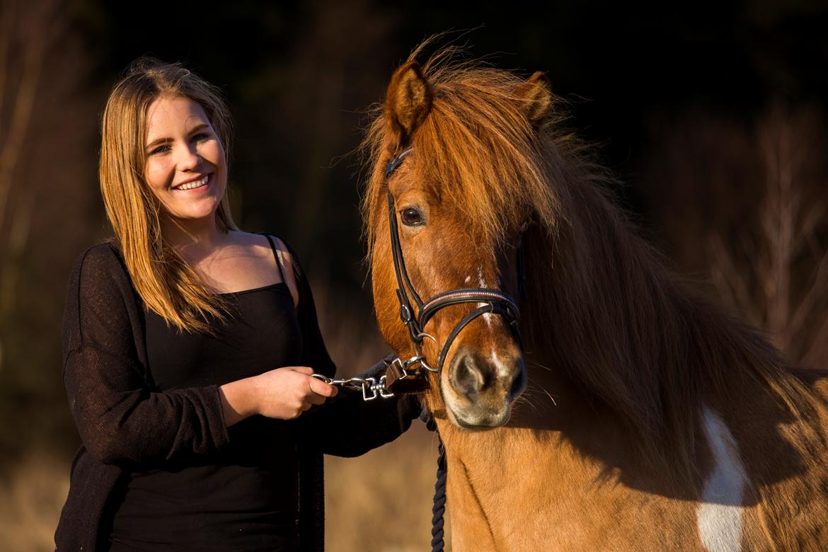 Islænder Neisti fra Munkhøj - Min lillesøster og Neisti - billedet er taget af Ken Liljegren billede 1