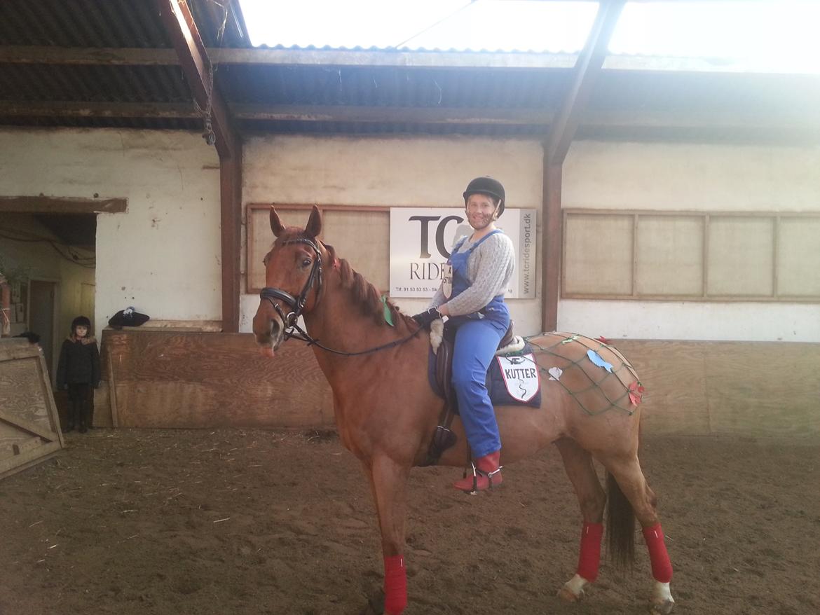 Dansk Varmblod Fjællebroens Excalibur billede 19