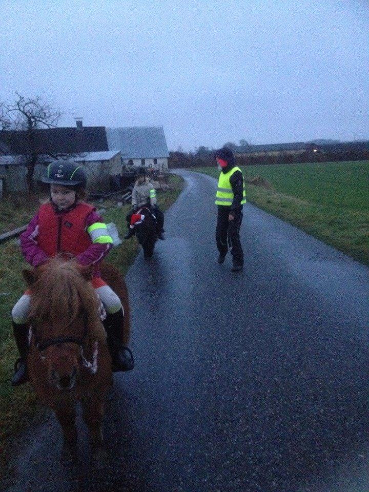 Miniature Elmely's Cille - jule afslutning billede 21