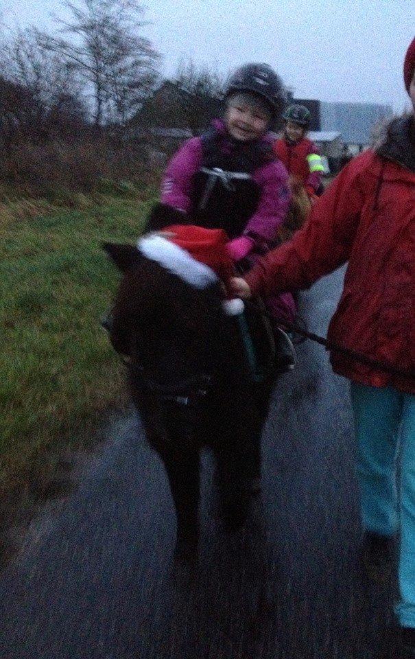 Anden særlig race Louie ( Herkules hos forige ejer ) billede 42