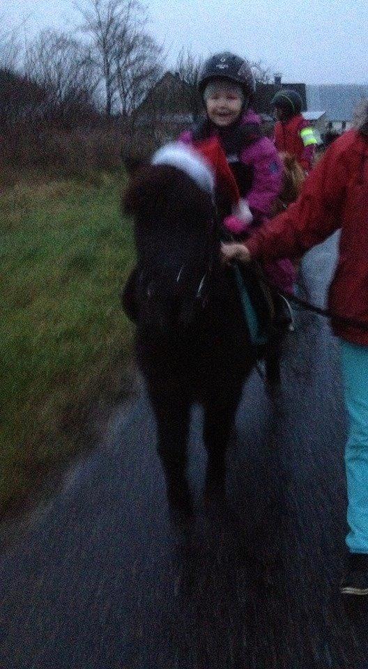 Anden særlig race Louie ( Herkules hos forige ejer ) billede 44