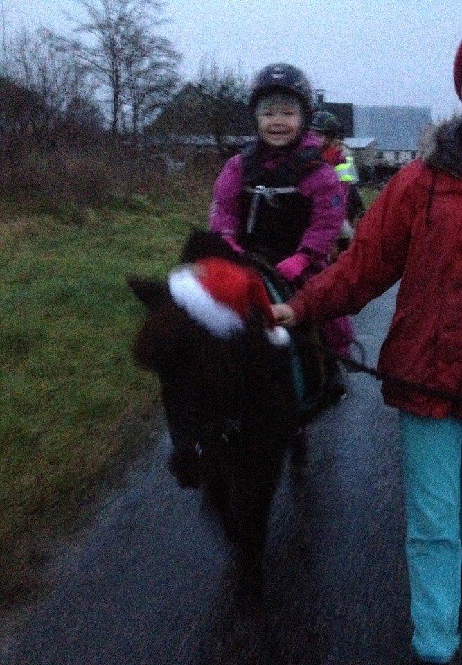 Anden særlig race Louie ( Herkules hos forige ejer ) billede 43