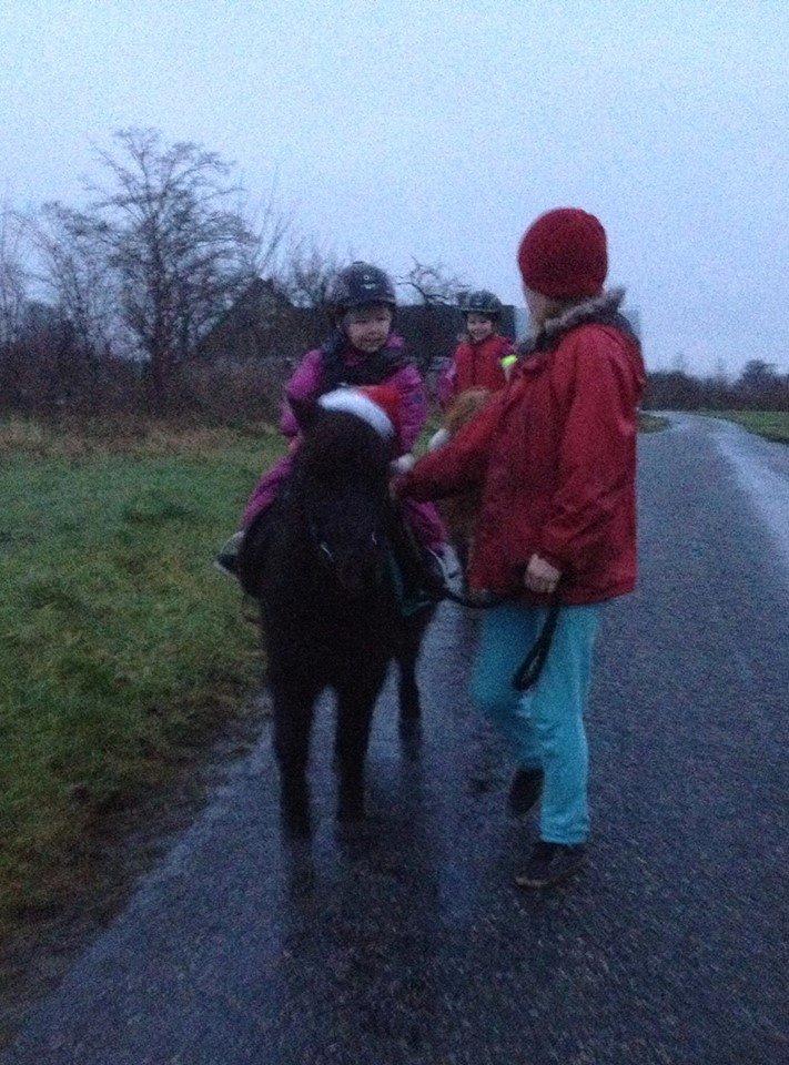 Anden særlig race Louie ( Herkules hos forige ejer ) billede 45