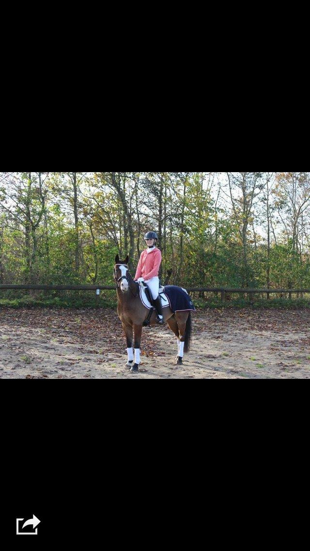 DSP Lassen`s Pay Per View billede 11