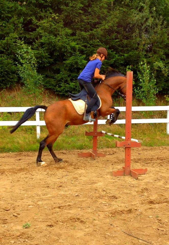 DSP Snekkerups Danny - August 2012 billede 17