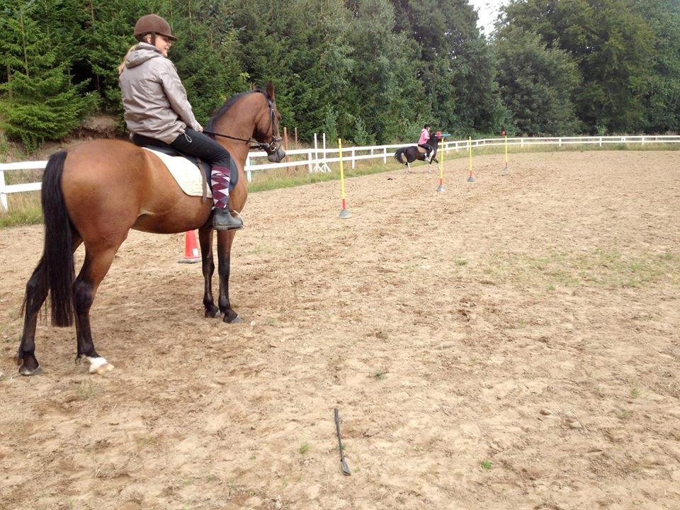 DSP Snekkerups Danny - August 2012 billede 18