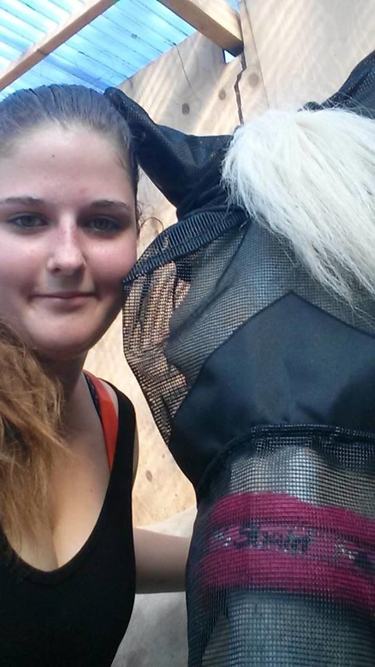 Palomino Sun shin billede 19