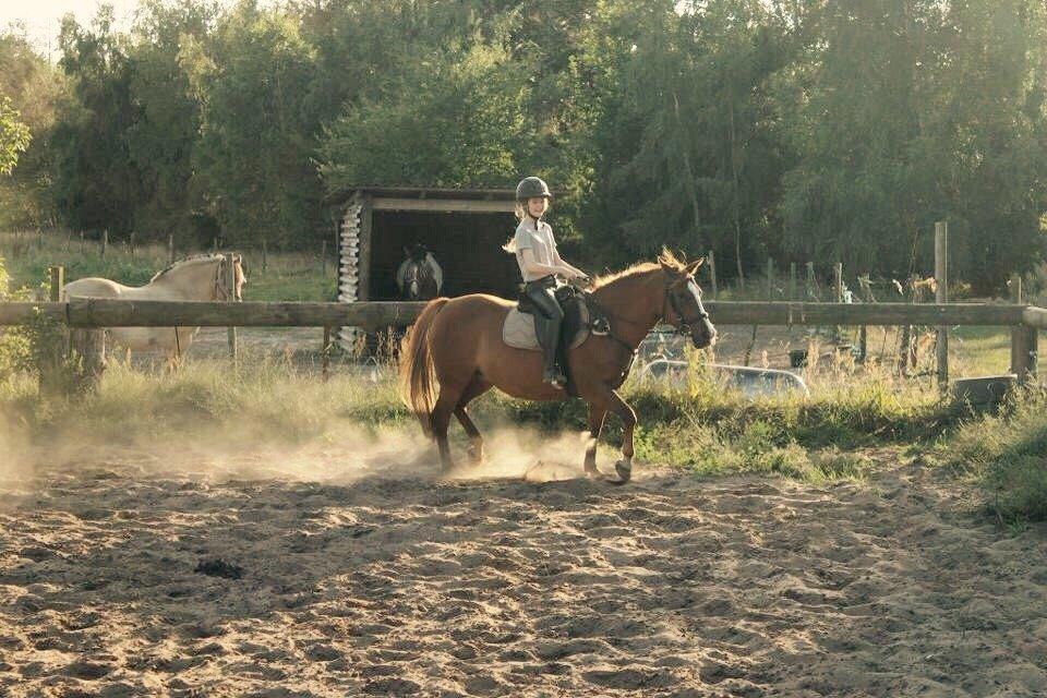 Anden særlig race Moondance Molly billede 12