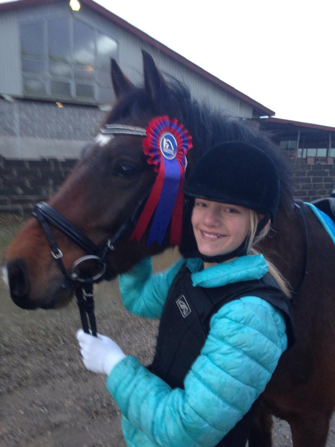 New Forest Arjan billede 24