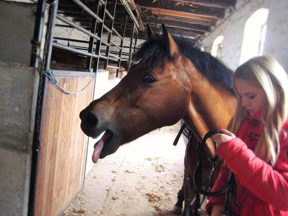 New Forest Annerups Delicious  {min baby} billede 14