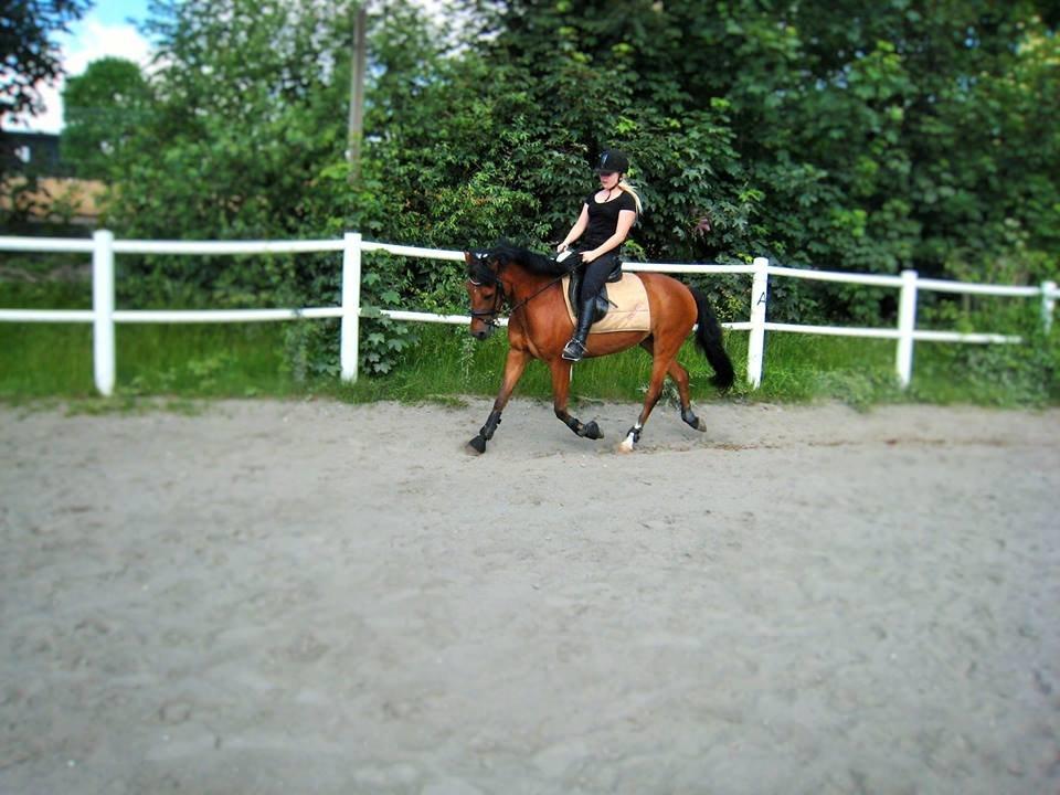 New Forest Annerups Delicious  {min baby} billede 15