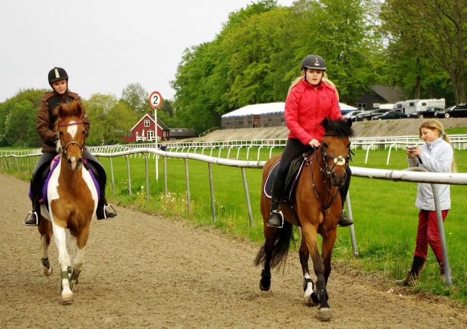 New Forest Annerups Delicious  {min baby} billede 8