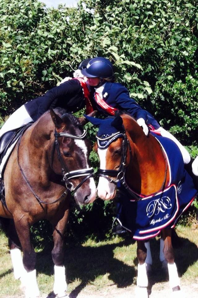 Hollandsk Sportspony Bijsterhof's Beauty billede 5