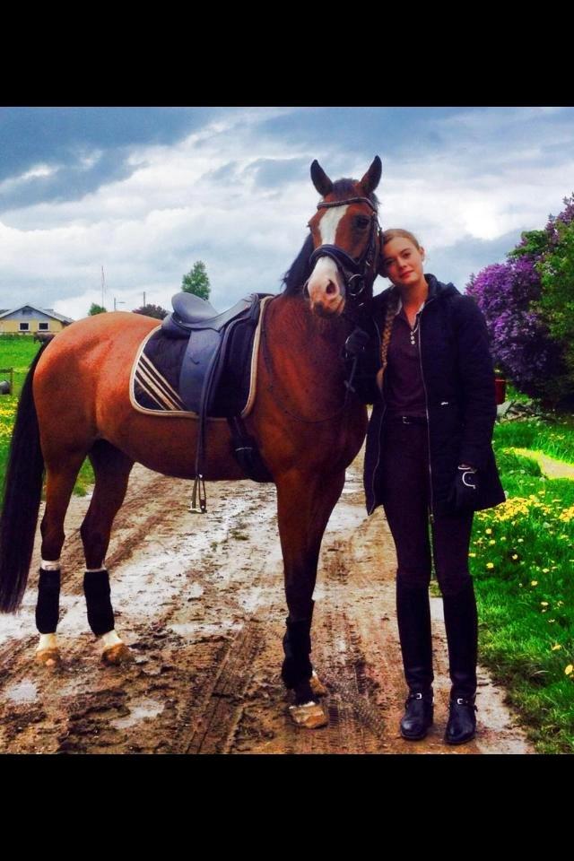 Hollandsk Sportspony Bijsterhof's Beauty billede 7