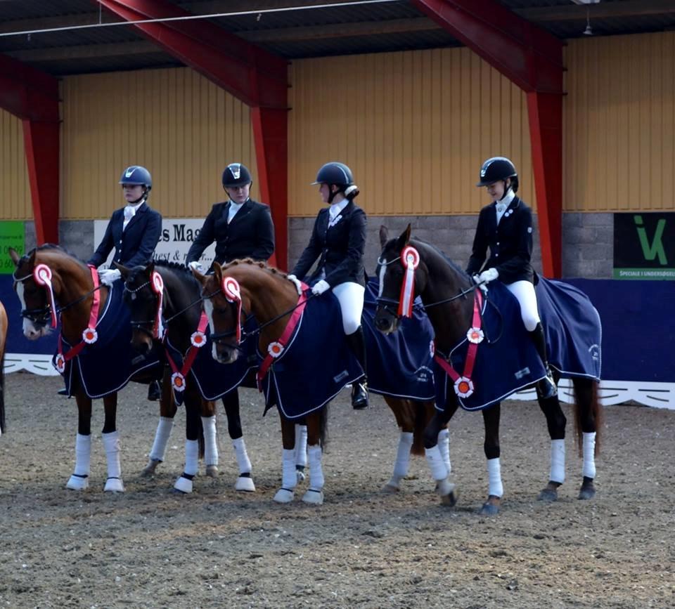 Hollandsk Sportspony Bijsterhof's Beauty billede 14