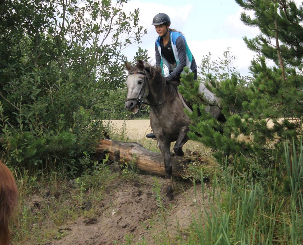 Anden særlig race Jens - Jens er MEGET glad for at springe billede 9