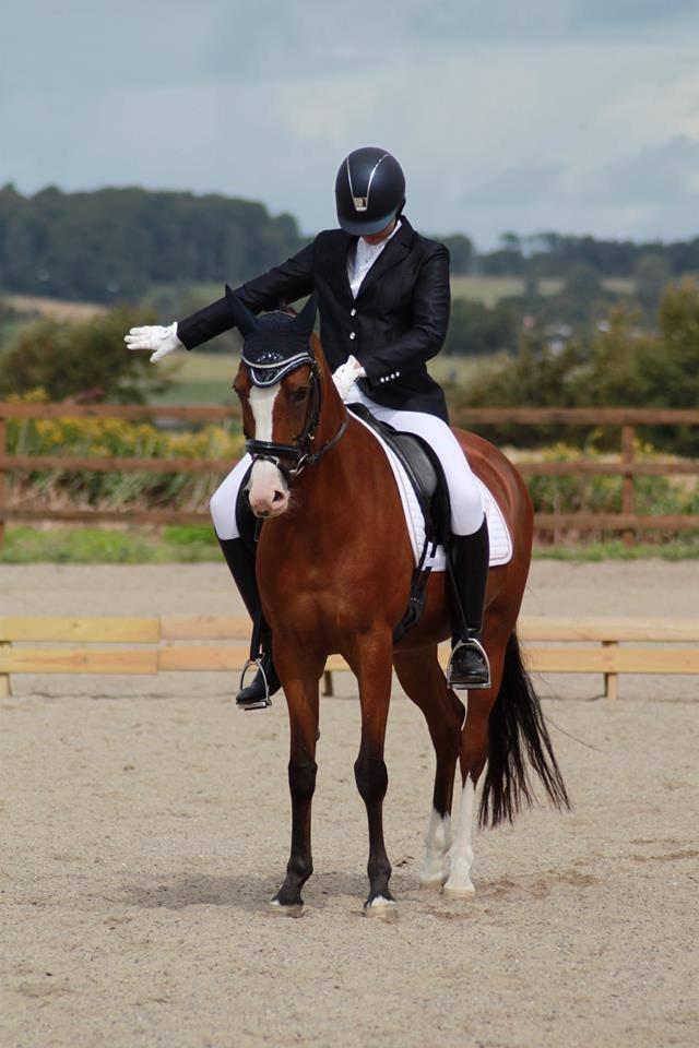 Hollandsk Sportspony Bijsterhof's Beauty billede 15