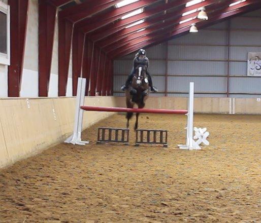 Holstener Wivara II - Første gang jeg sad på hende billede 3