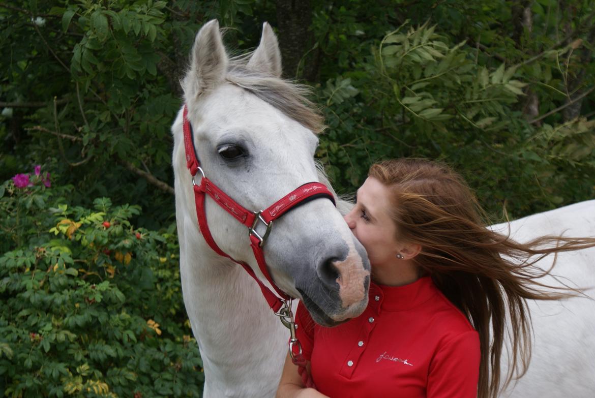 Anden særlig race Cæsar billede 1