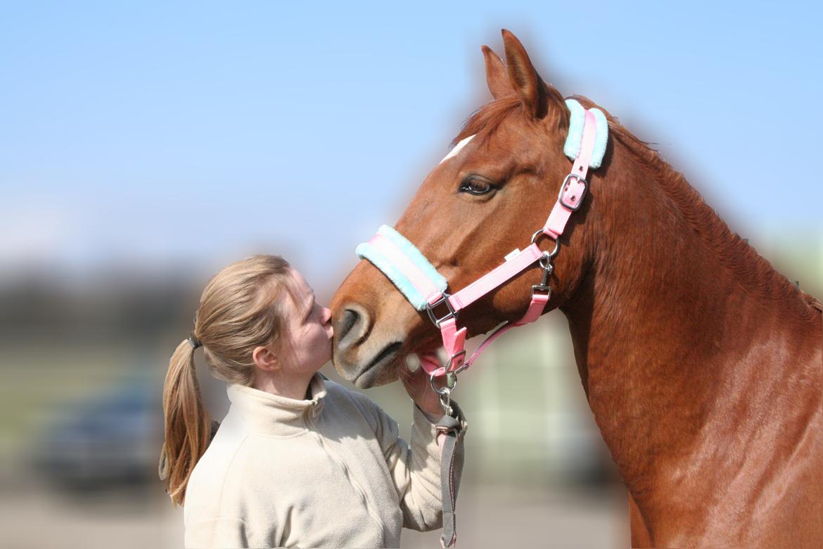 Anden særlig race Purples Red April billede 21