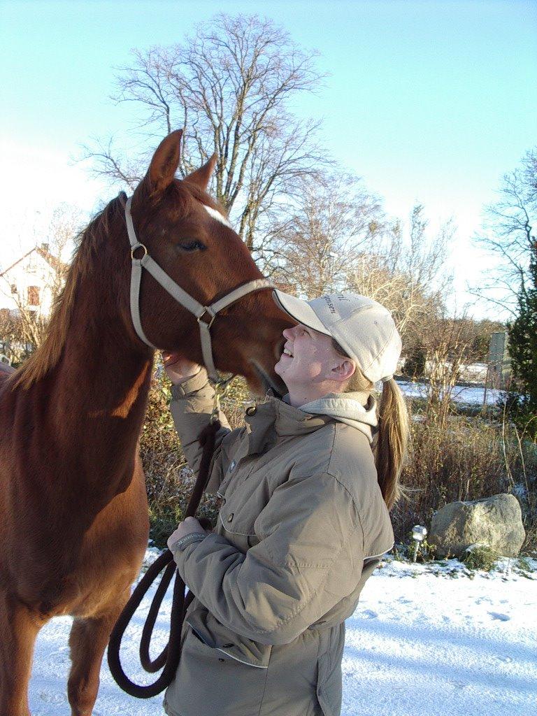 Anden særlig race Purples Red April billede 12