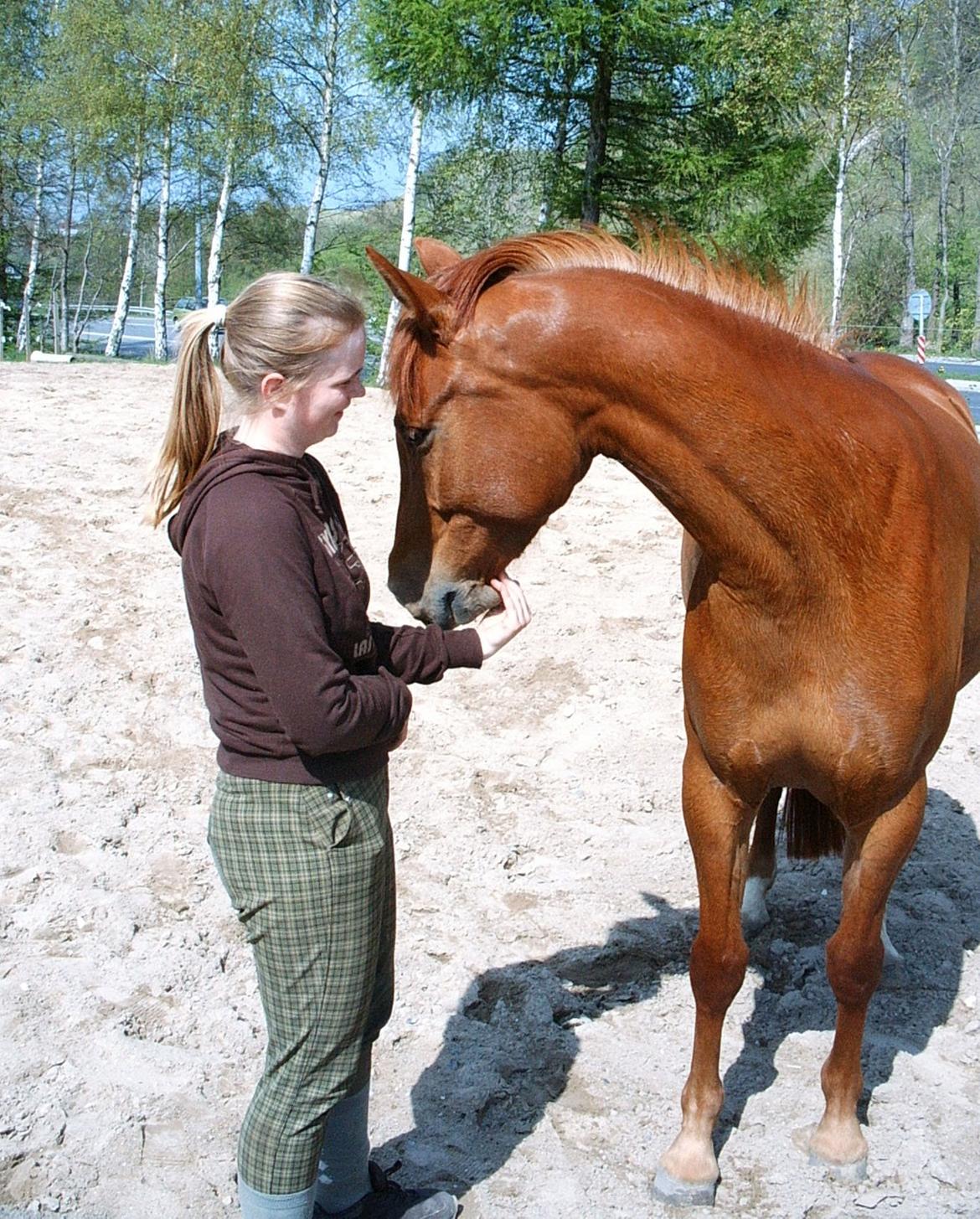 Anden særlig race Purples Red April billede 24