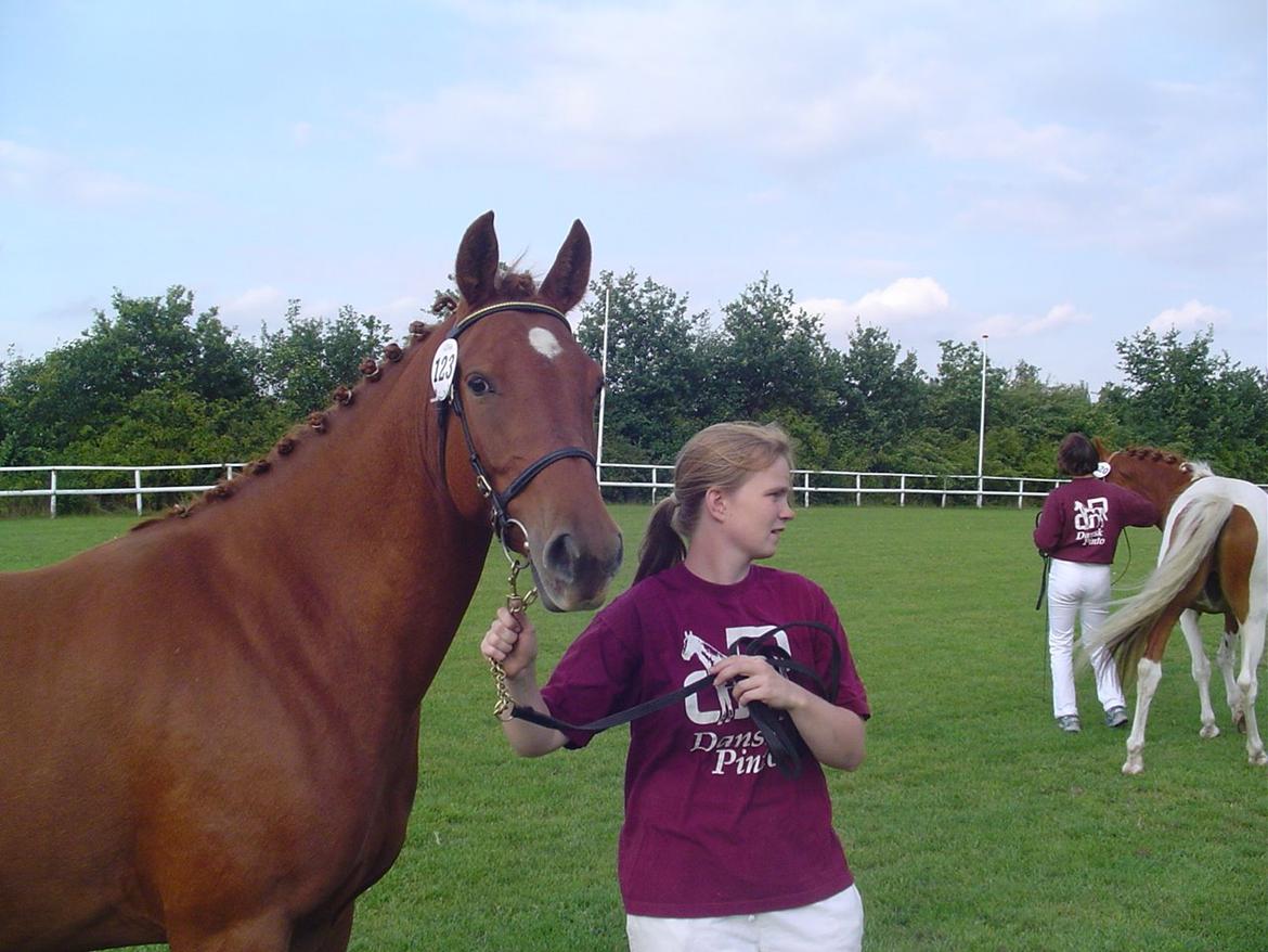 Anden særlig race Purples Red April billede 29