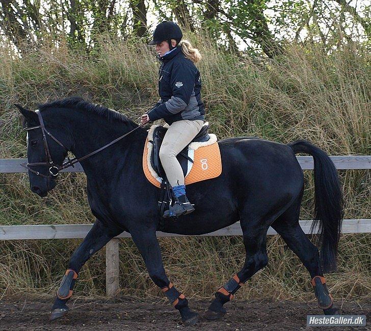 Oldenborg flicka selvad billede 8