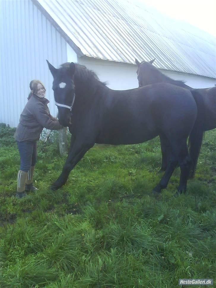 Oldenborg flicka selvad billede 11