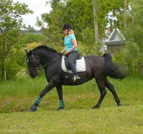 Oldenborg flicka selvad billede 14