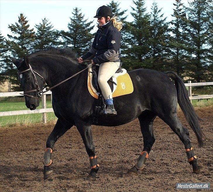 Oldenborg flicka selvad billede 5