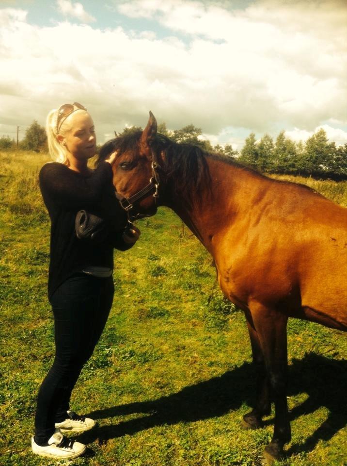 Anden særlig race Mr Champ billede 2