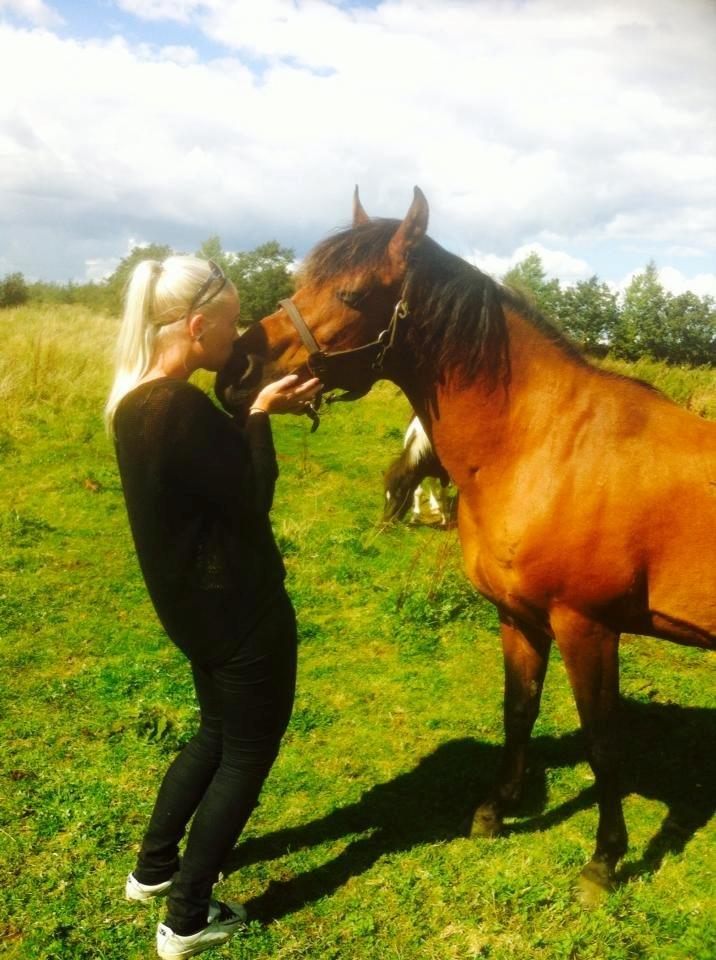 Anden særlig race Mr Champ billede 1