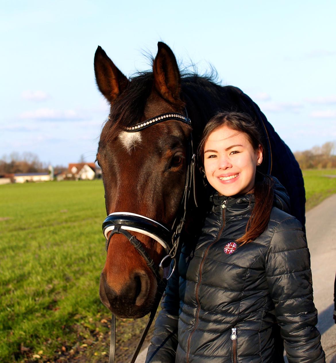 Dansk Varmblod Valløs Barosso - Vinter 2014 billede 2