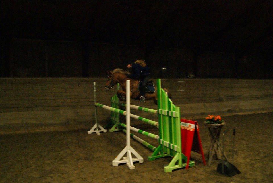 New Forest Kantje´s Isabella AKA Pony - Ubeskriveligt så meget jeg elsker den pony! billede 4